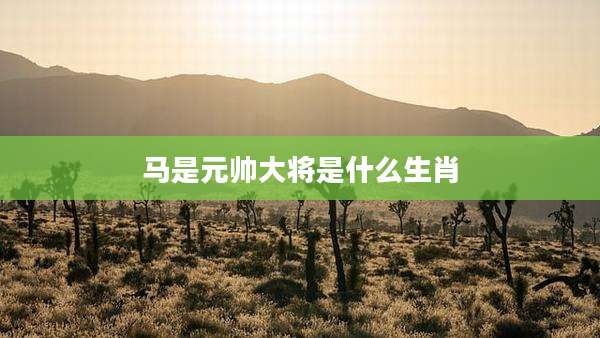 马是元帅大将是什么生肖