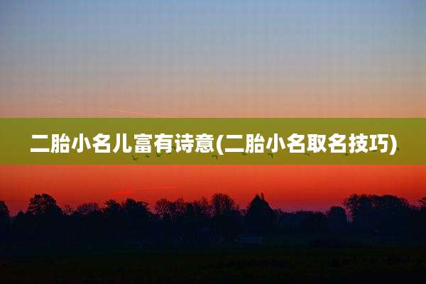 二胎小名儿富有诗意(二胎小名取名技巧)