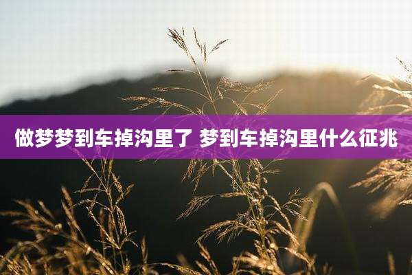 做梦梦到车掉沟里了 梦到车掉沟里什么征兆