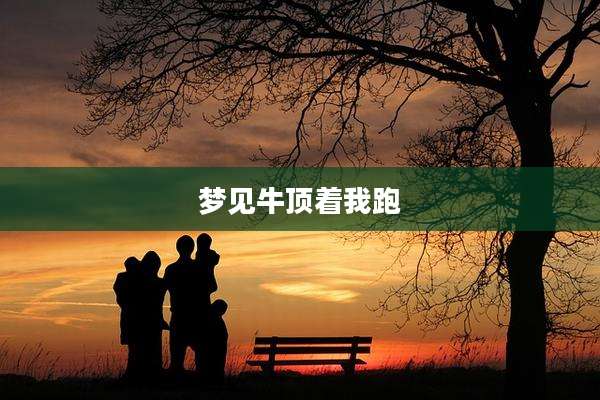 梦见牛顶着我跑