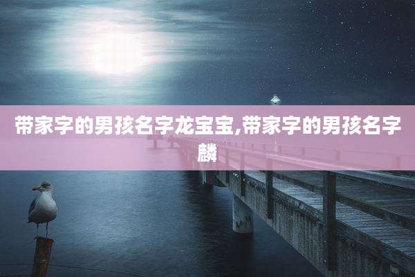 带家字的男孩名字龙宝宝,带家字的男孩名字麟