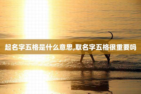 起名字五格是什么意思,取名字五格很重要吗