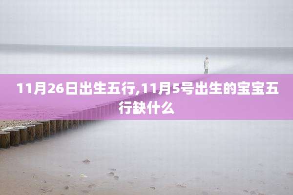 11月26日出生五行,11月5号出生的宝宝五行缺什么