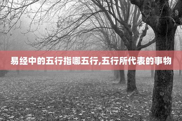 易经中的五行指哪五行,五行所代表的事物