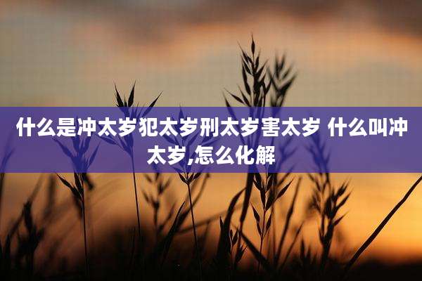 什么是冲太岁犯太岁刑太岁害太岁 什么叫冲太岁,怎么化解