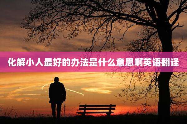 化解小人最好的办法是什么意思啊英语翻译
