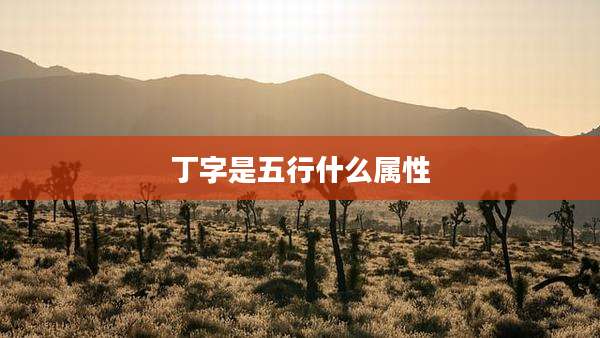 丁字是五行什么属性