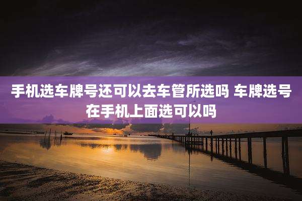 手机选车牌号还可以去车管所选吗 车牌选号在手机上面选可以吗