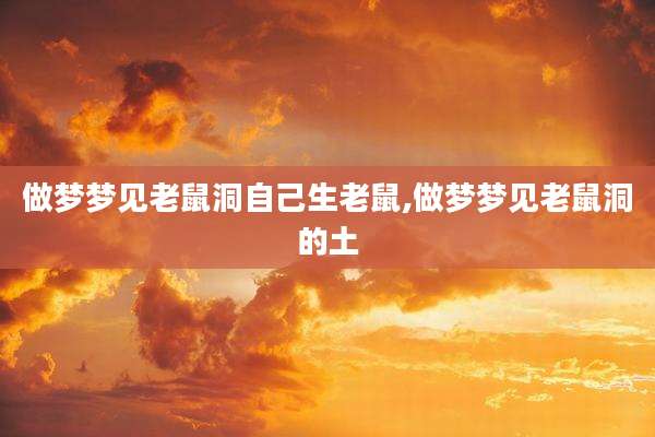 做梦梦见老鼠洞自己生老鼠,做梦梦见老鼠洞的土