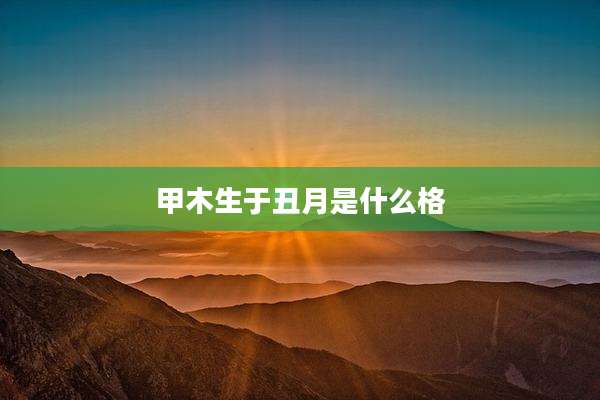 甲木生于丑月是什么格