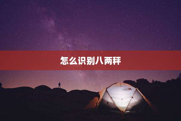 怎么识别八两秤