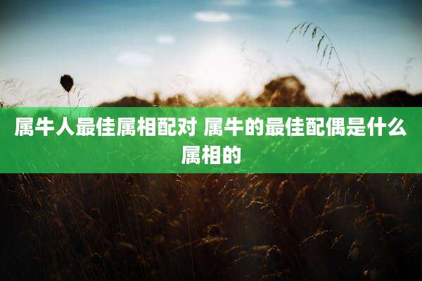 属牛人最佳属相配对 属牛的最佳配偶是什么属相的