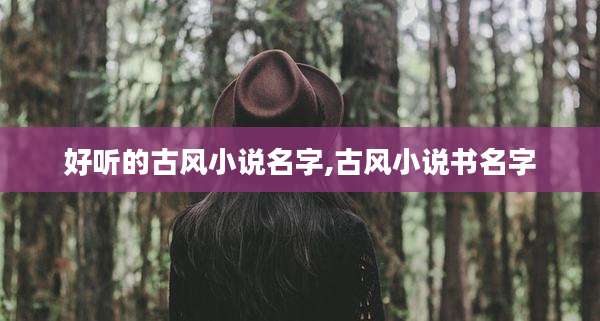 好听的古风小说名字,古风小说书名字