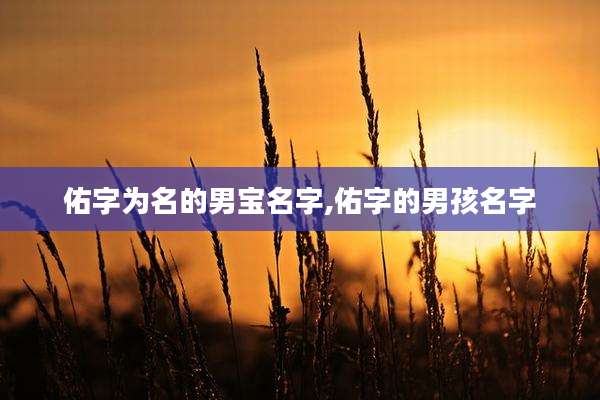 佑字为名的男宝名字,佑字的男孩名字