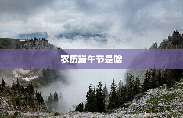 农历端午节是啥