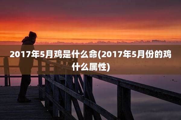 2017年5月鸡是什么命(2017年5月份的鸡什么属性)