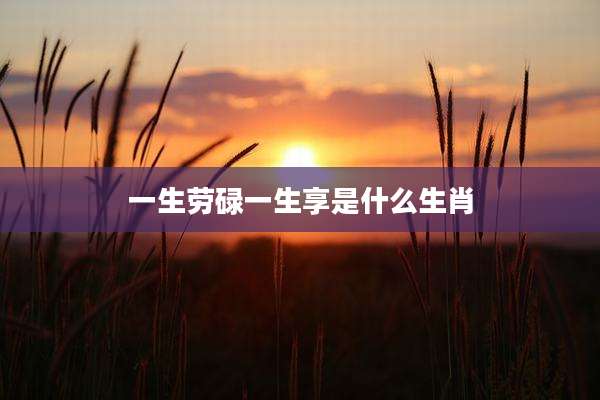 一生劳碌一生享是什么生肖
