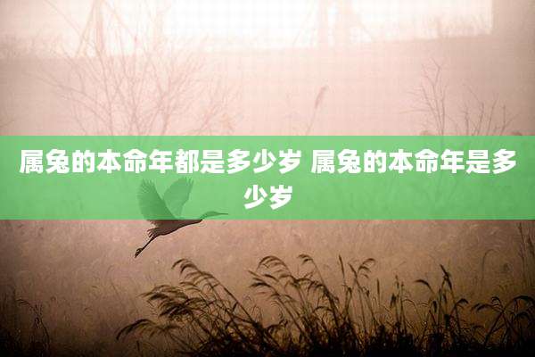 属兔的本命年都是多少岁 属兔的本命年是多少岁