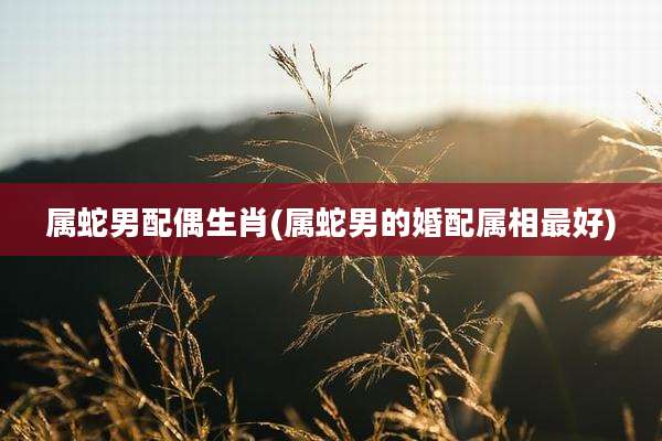 属蛇男配偶生肖(属蛇男的婚配属相最好)