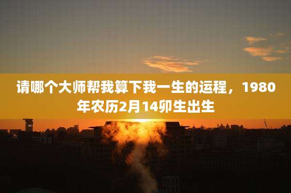 请哪个大师帮我算下我一生的运程，1980年农历2月14卯生出生
