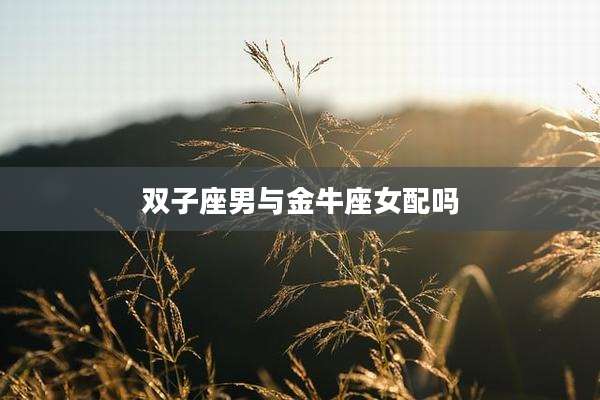双子座男与金牛座女配吗