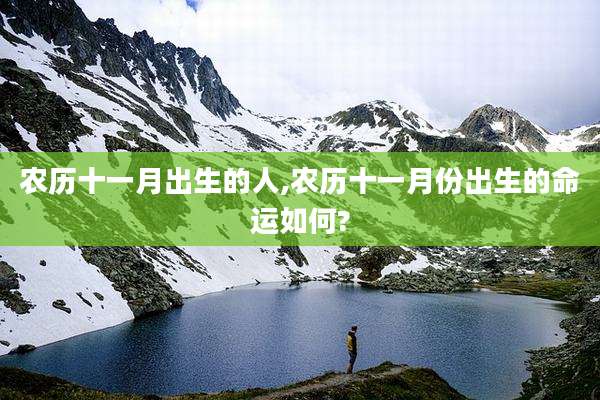 农历十一月出生的人,农历十一月份出生的命运如何?