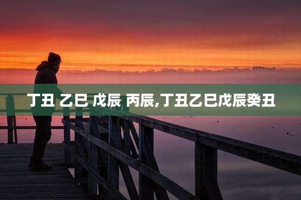 丁丑 乙巳 戊辰 丙辰,丁丑乙巳戊辰癸丑