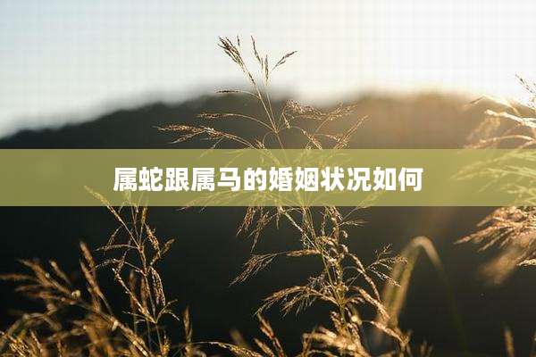 属蛇跟属马的婚姻状况如何