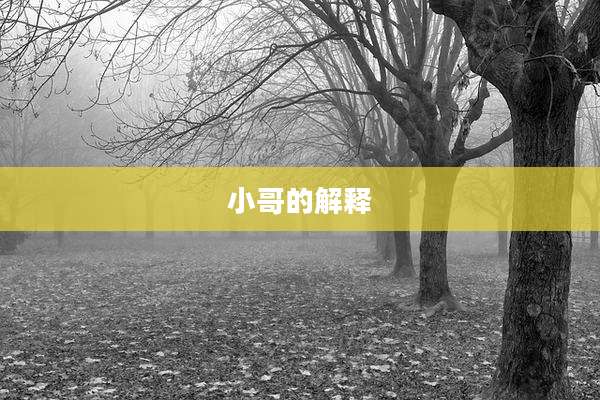 小哥的解释