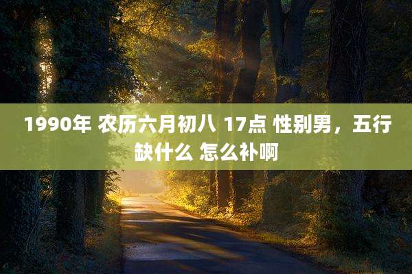 1990年 农历六月初八 17点 性别男，五行缺什么 怎么补啊