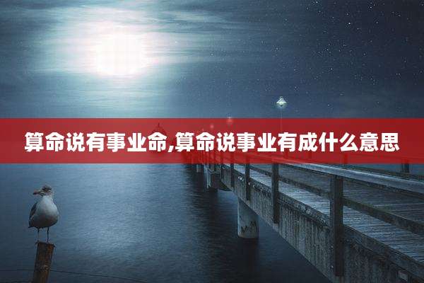 算命说有事业命,算命说事业有成什么意思