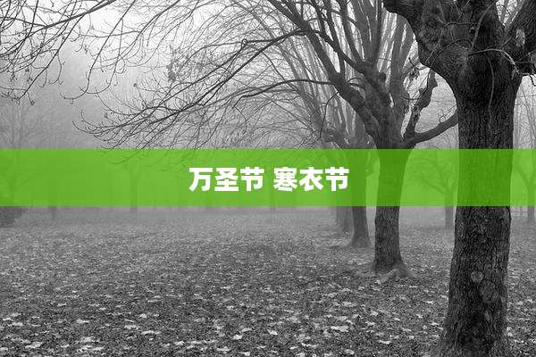 万圣节 寒衣节