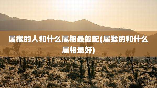 属猴的人和什么属相最般配(属猴的和什么属相最好)