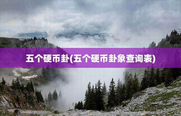 五个硬币卦(五个硬币卦象查询表)