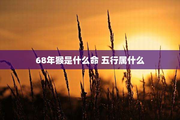 68年猴是什么命 五行属什么