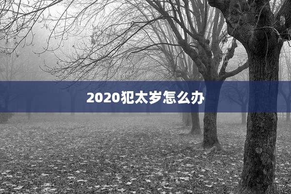 2020犯太岁怎么办