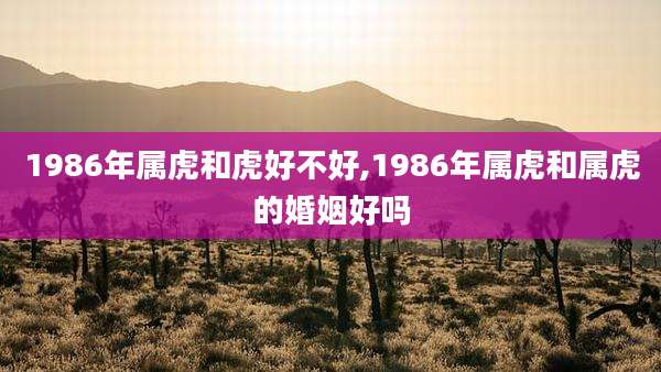 1986年属虎和虎好不好,1986年属虎和属虎的婚姻好吗
