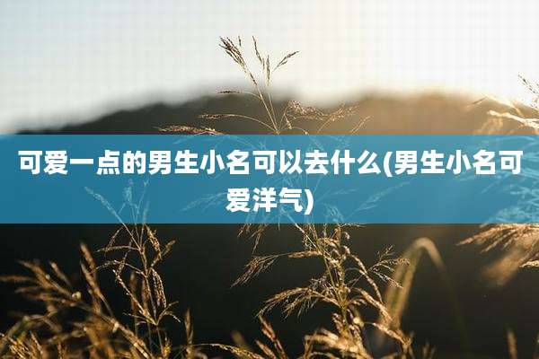 可爱一点的男生小名可以去什么(男生小名可爱洋气)