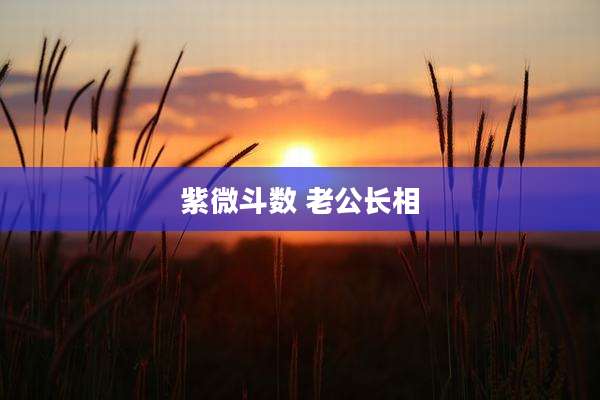 紫微斗数 老公长相