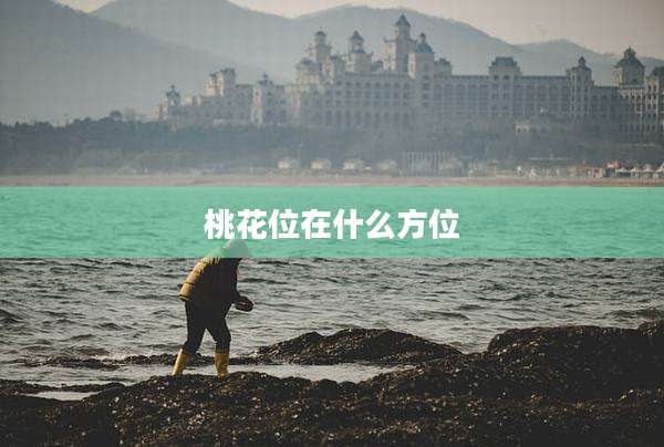 桃花位在什么方位