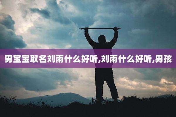 男宝宝取名刘雨什么好听,刘雨什么好听,男孩