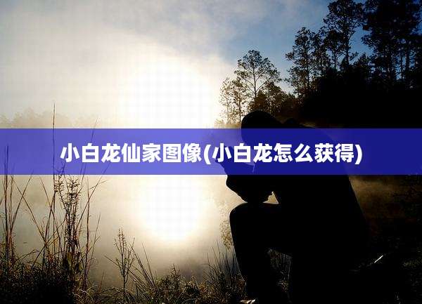 小白龙仙家图像(小白龙怎么获得)