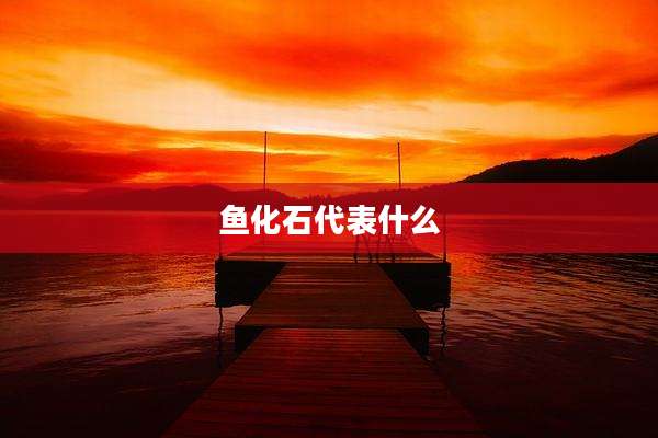 鱼化石代表什么