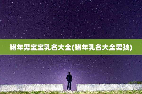猪年男宝宝乳名大全(猪年乳名大全男孩)