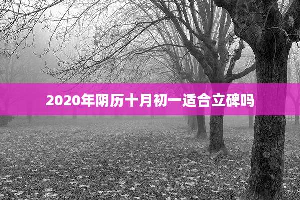 2020年阴历十月初一适合立碑吗