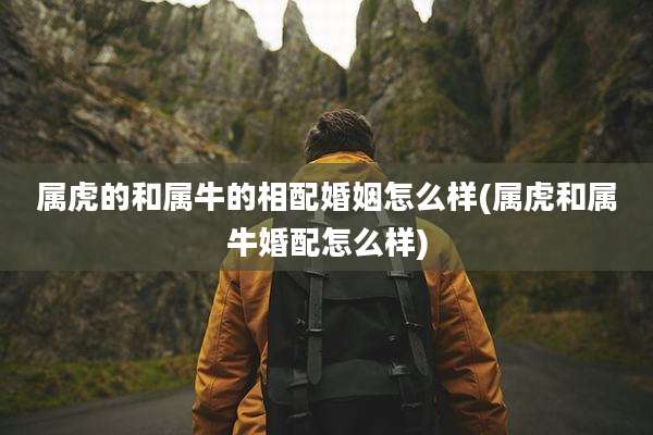 属虎的和属牛的相配婚姻怎么样(属虎和属牛婚配怎么样)