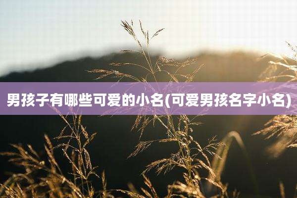 男孩子有哪些可爱的小名(可爱男孩名字小名)