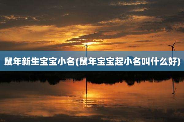 鼠年新生宝宝小名(鼠年宝宝起小名叫什么好)