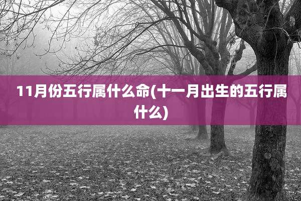 11月份五行属什么命(十一月出生的五行属什么)