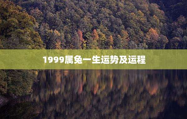 1999属兔一生运势及运程